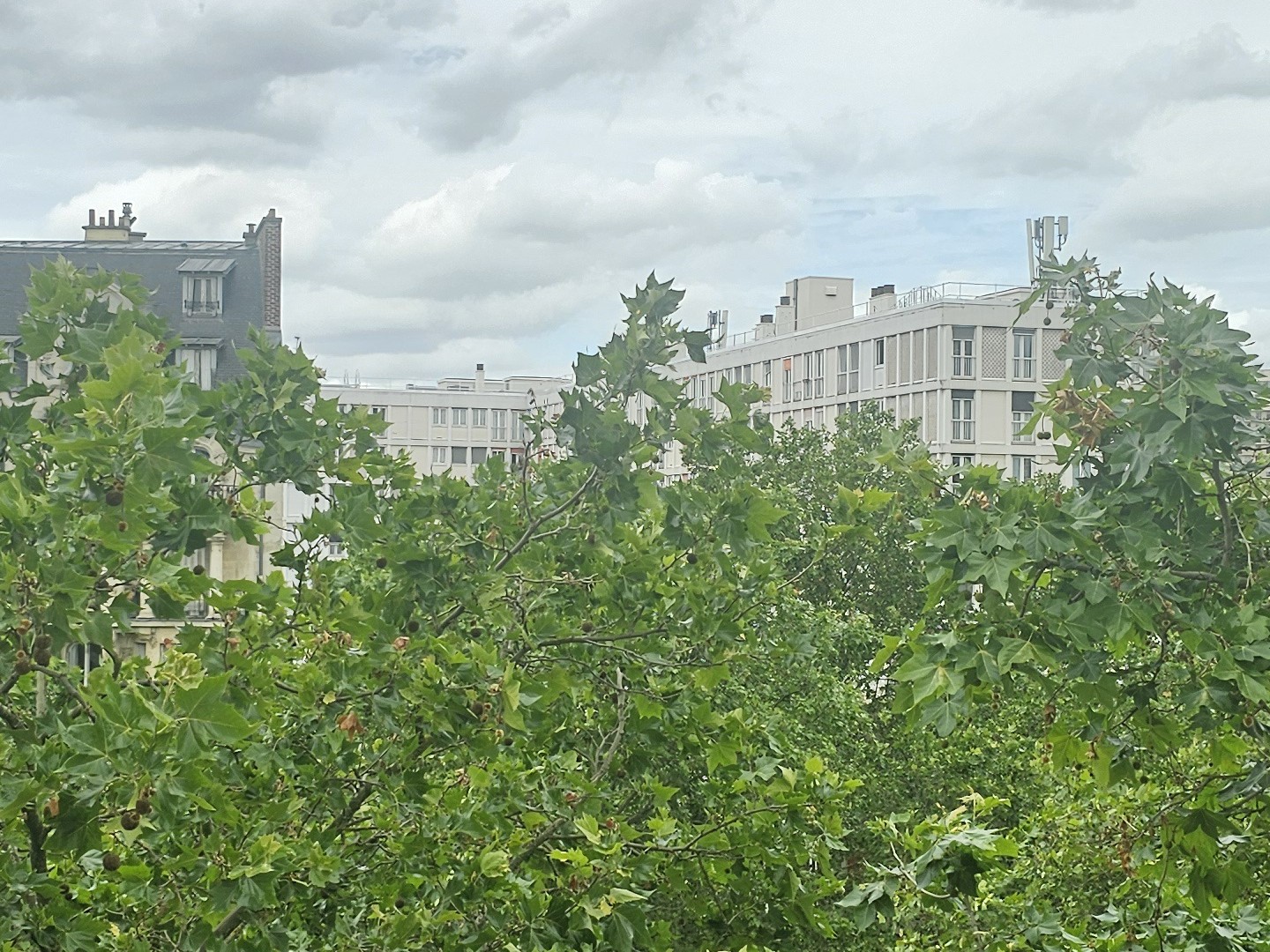 Appartement à vendre - 1 pièce - 28m2 - Paris 13e (75013)