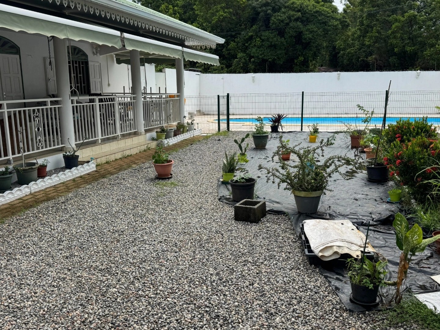 Maison à vendre - 4 pièces - 158m2 - Remire-Montjoly (97354)