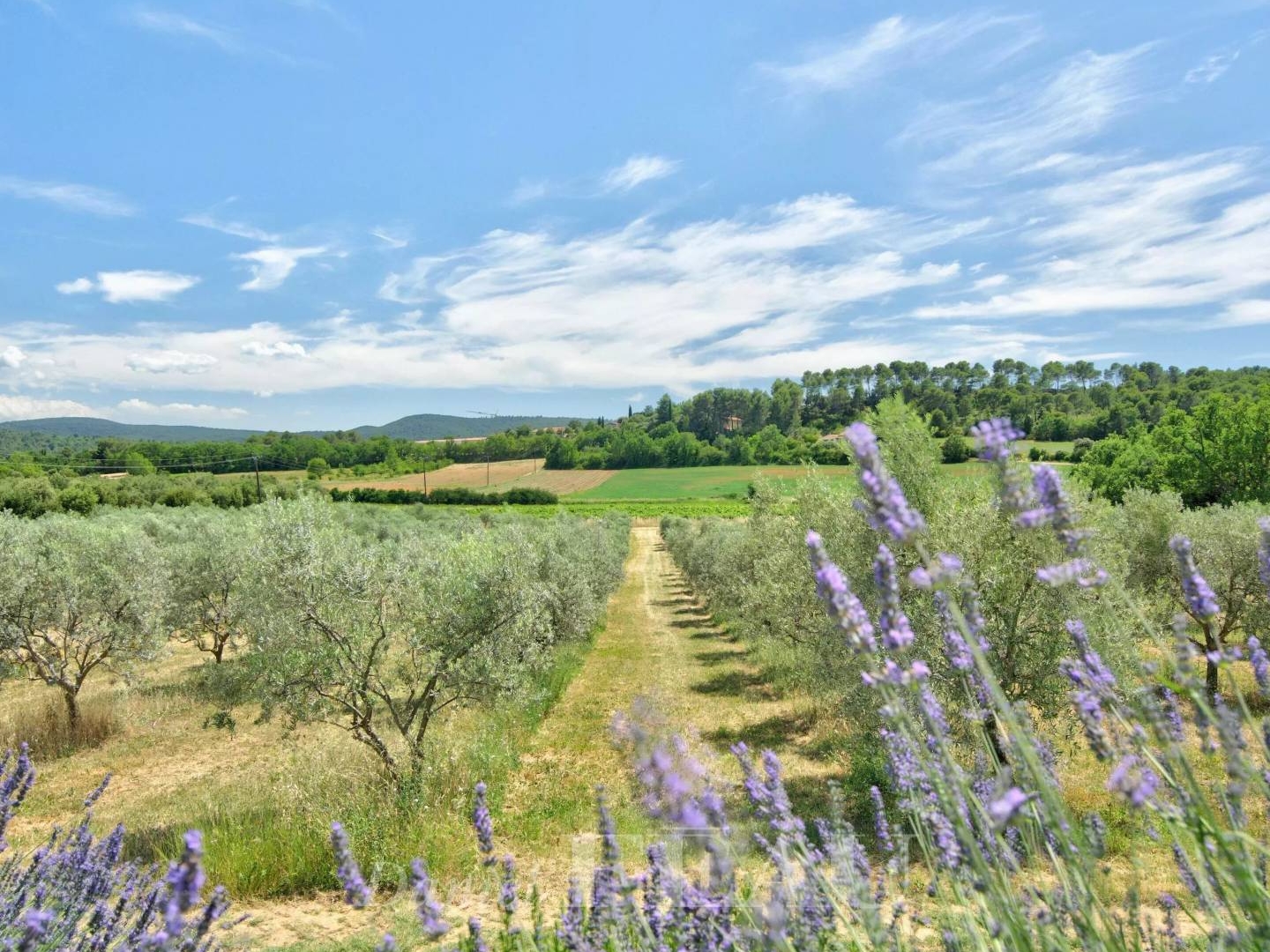Maison à vendre - 16 pièces - 480m2 - La Bastide-Des-Jo... (84240)