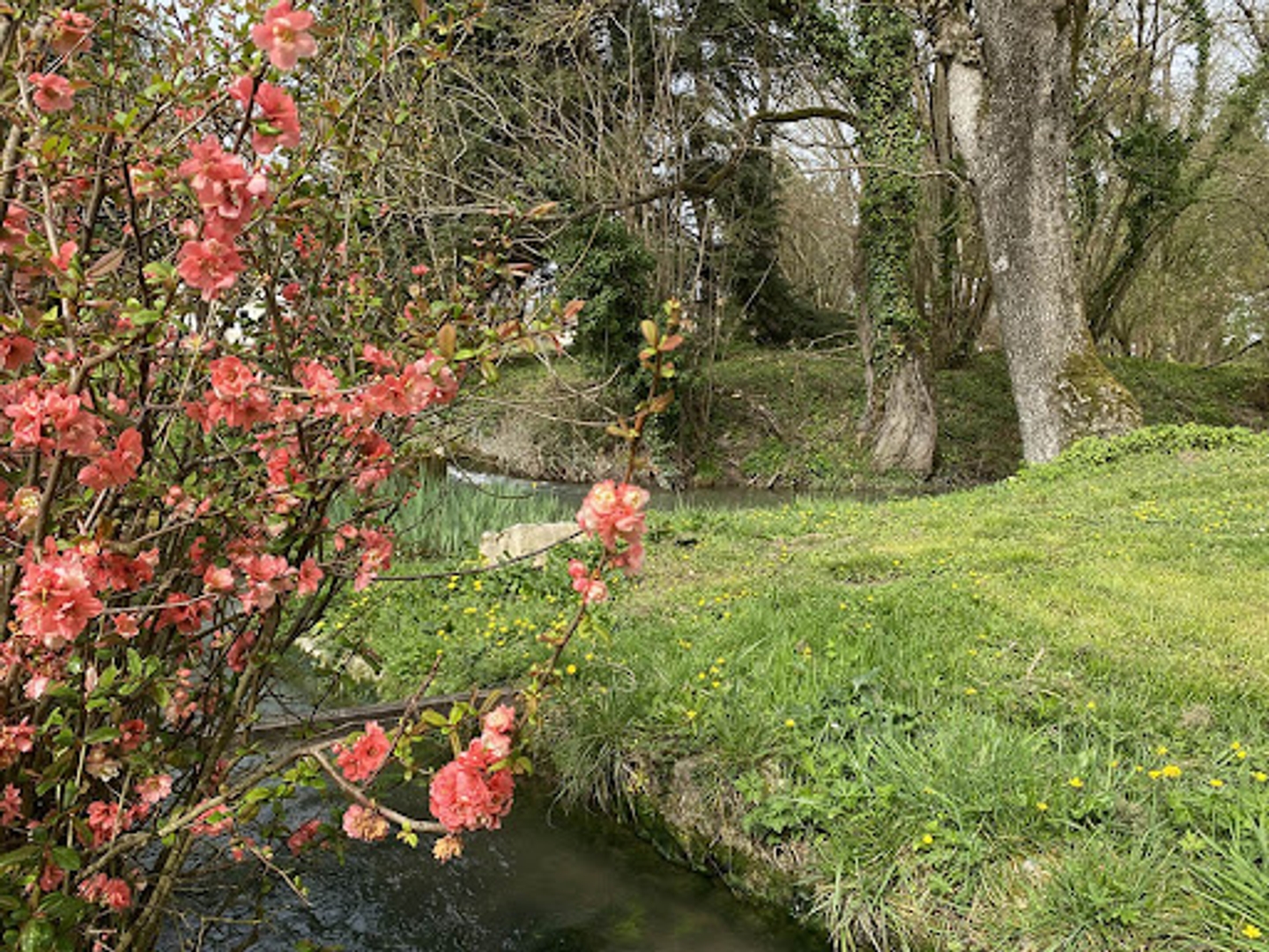 Maison à vendre - 30 pièces - 1840m2 - Mortagne-Sur-Gironde (17120)