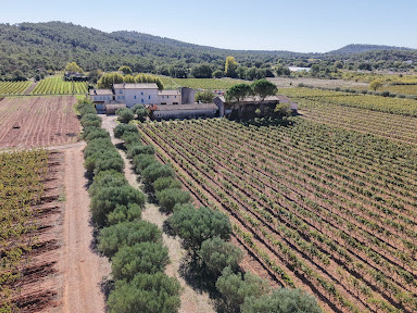 Terrain à vendre - La Londe-Les-Maures (83250)