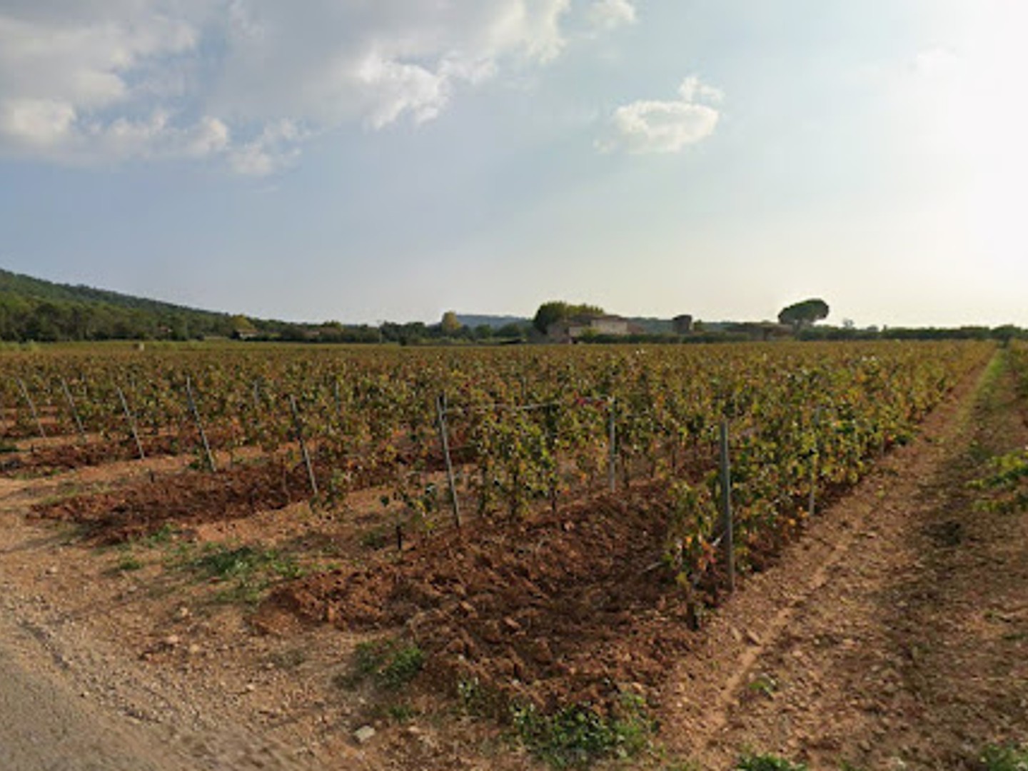 Terrain à vendre - La Londe-Les-Maures (83250)