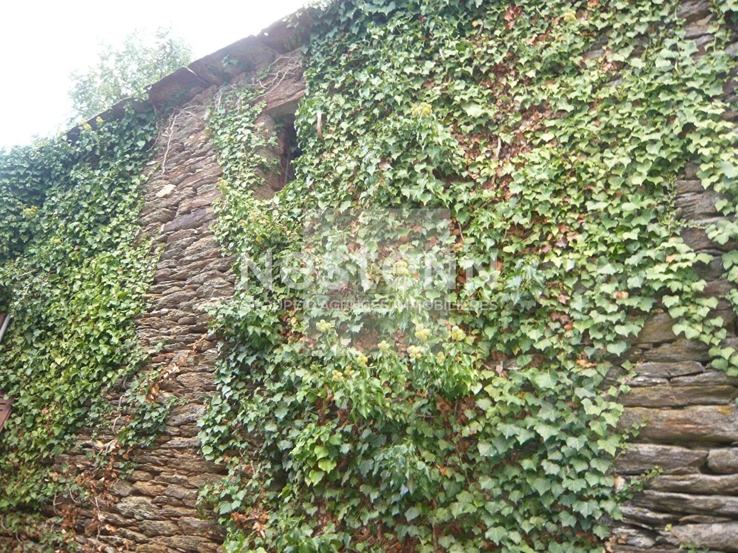 Autre à vendre - 100m2 - Le Collet-De-Dèze (48160)