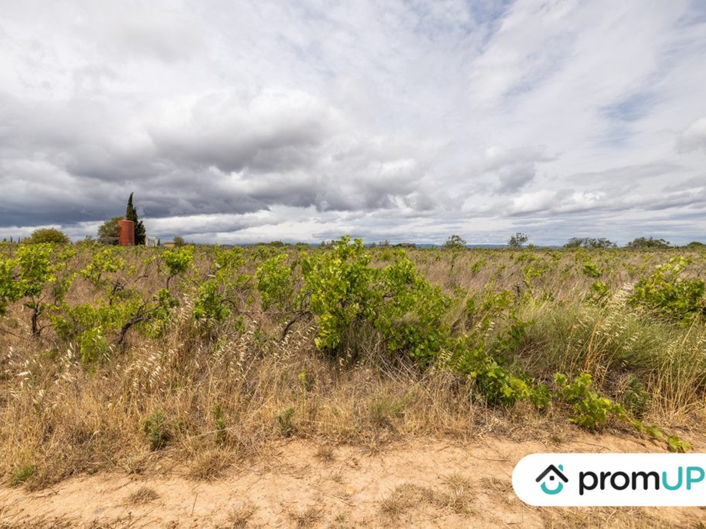 Terrain à vendre - Puichéric (11700)