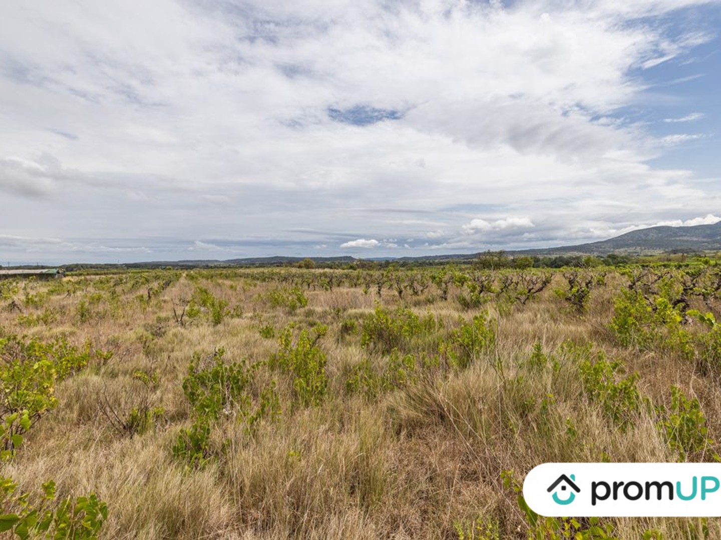 Terrain à vendre - Puichéric (11700)