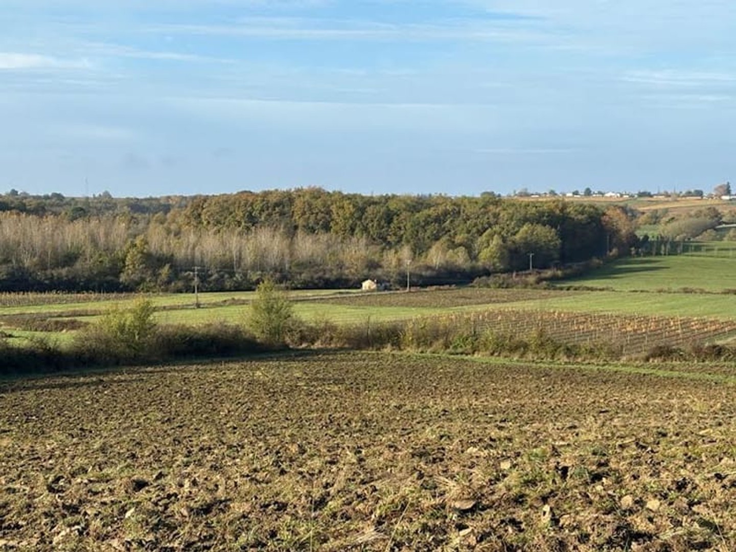 Maison à vendre - 1 pièce - 120000m2 - Castelviel (33540)