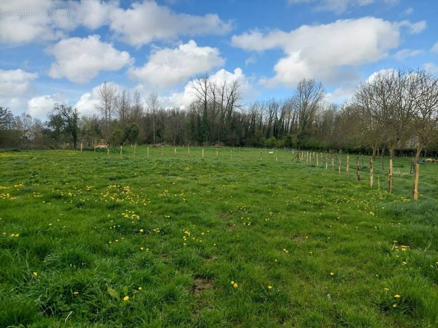 Terrain à vendre - 1166m2 - Arras (62000)