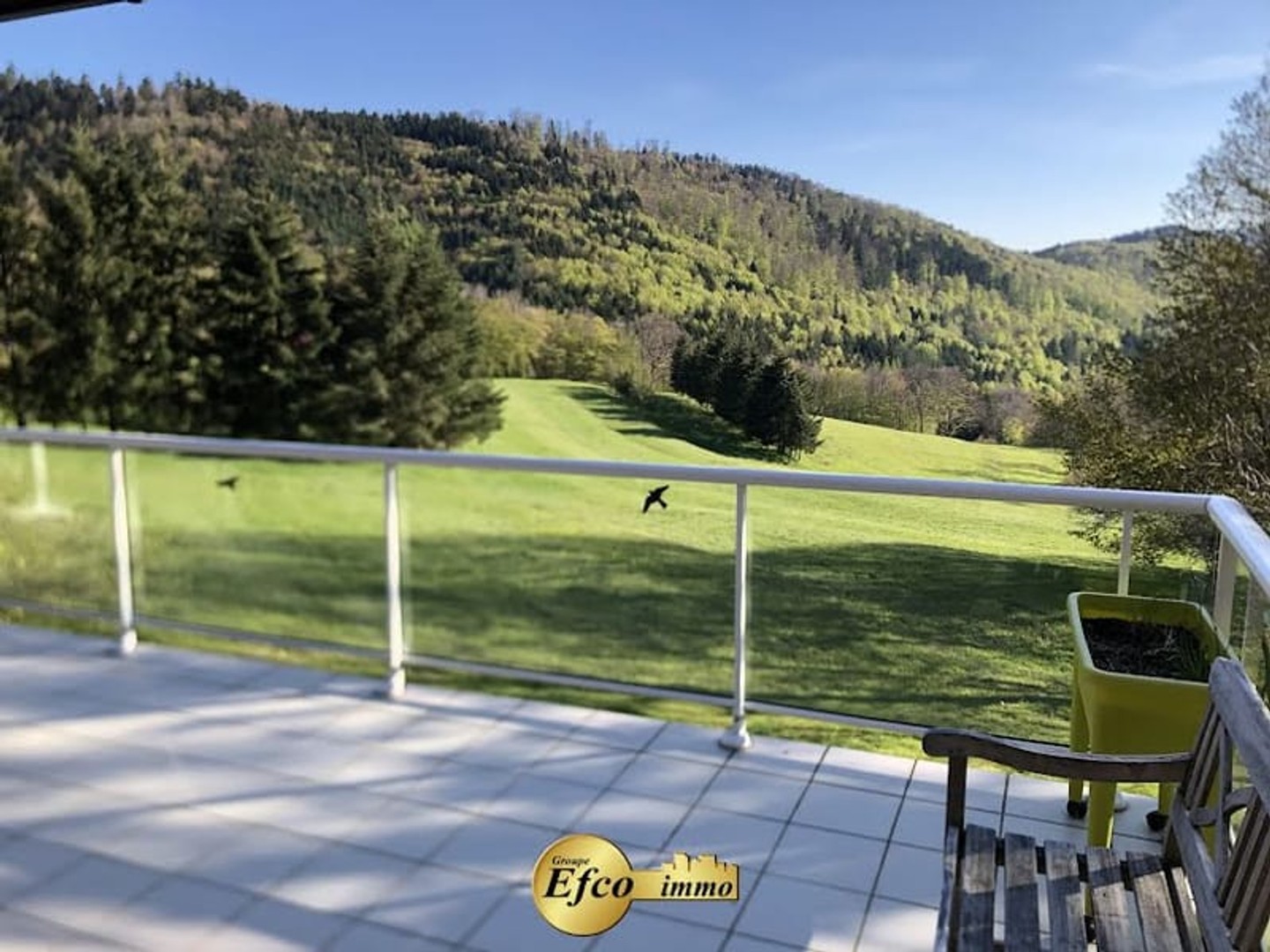 Maison à vendre - 10 pièces - 275m2 - Goldbach-Altenbach (68760)