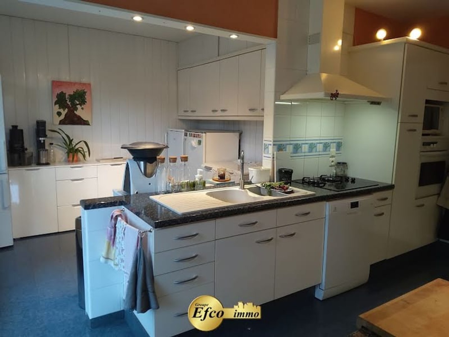 Maison à vendre - 10 pièces - 275m2 - Goldbach-Altenbach (68760)