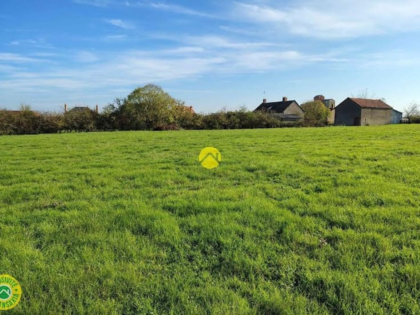 Terrain à vendre - 11400m2 - Augy-Sur-Aubois (18600)