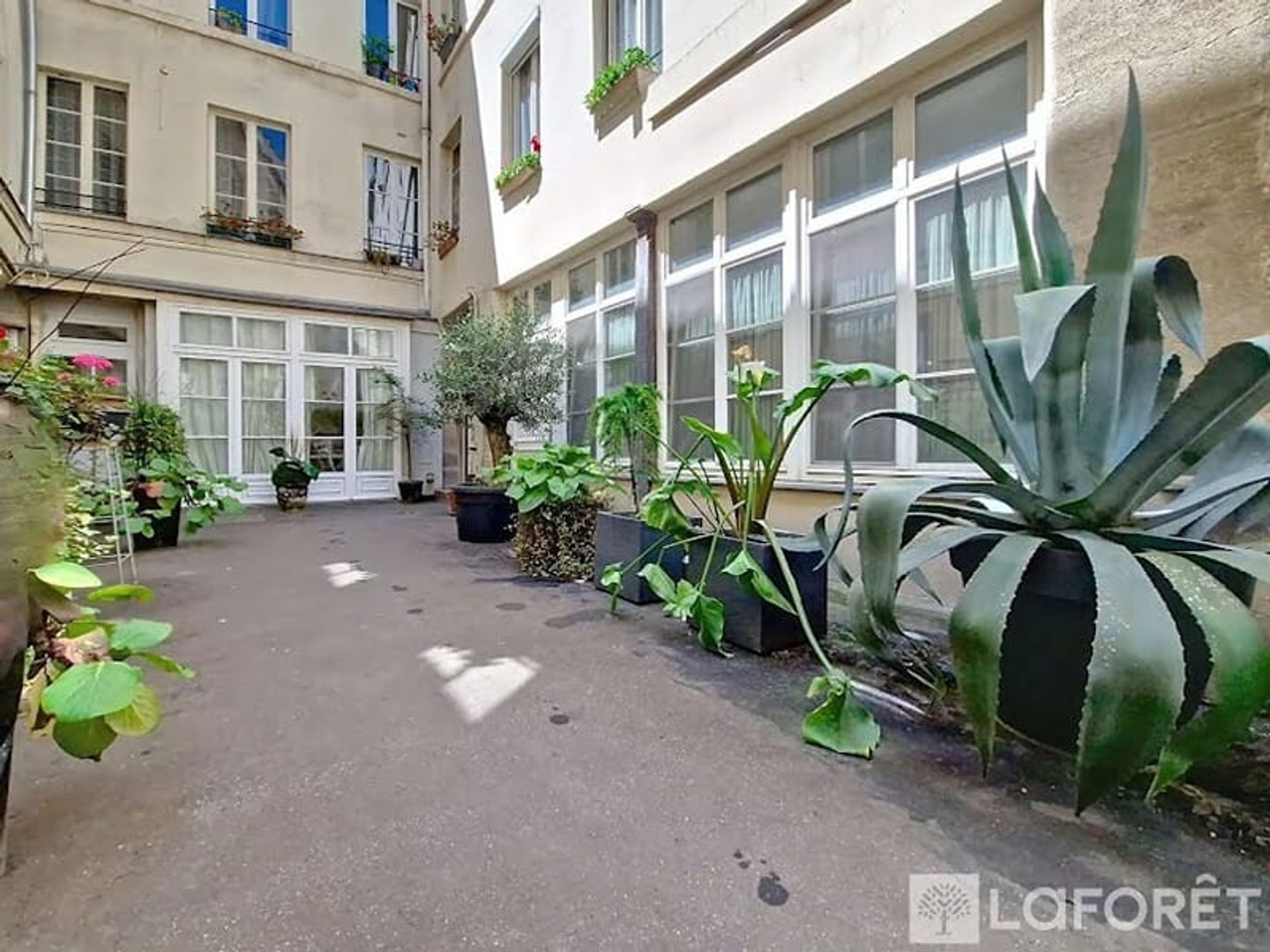 Local 1 pièce 113 m²