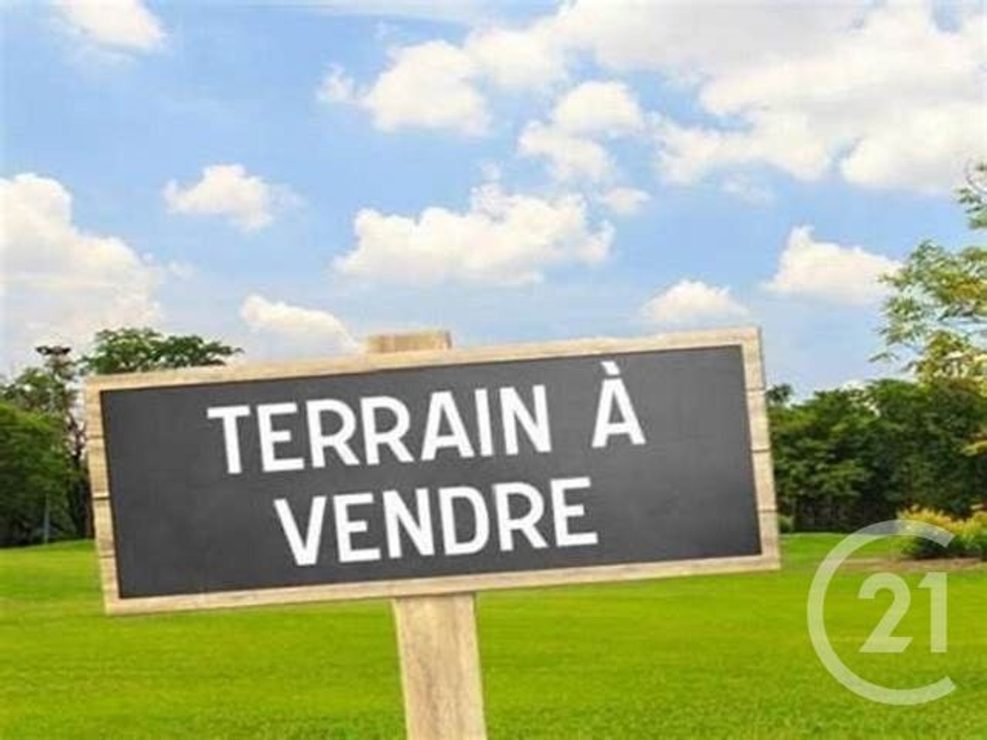 terrain