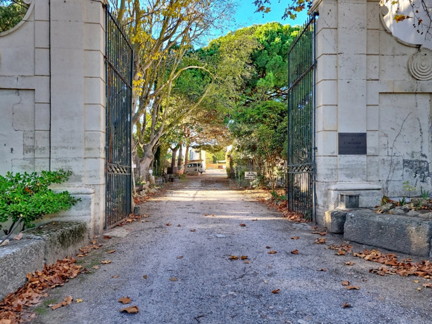 Propriété viticole 1 pièce 1800 m²