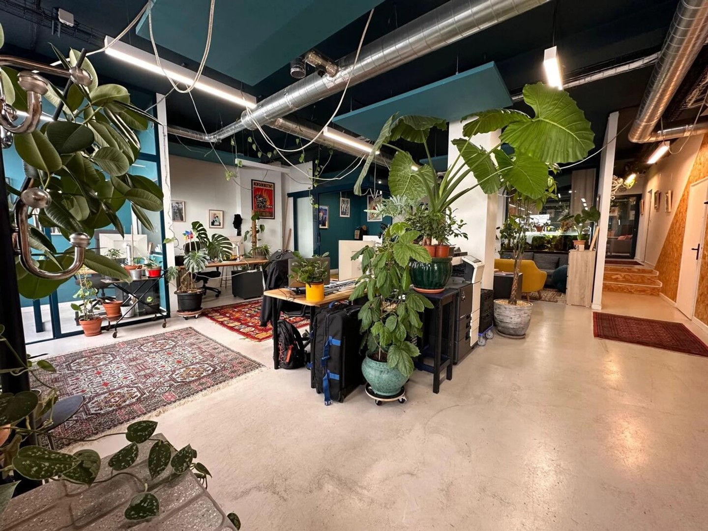 Magasin à vendre - 182m2 - Montpellier (34000)