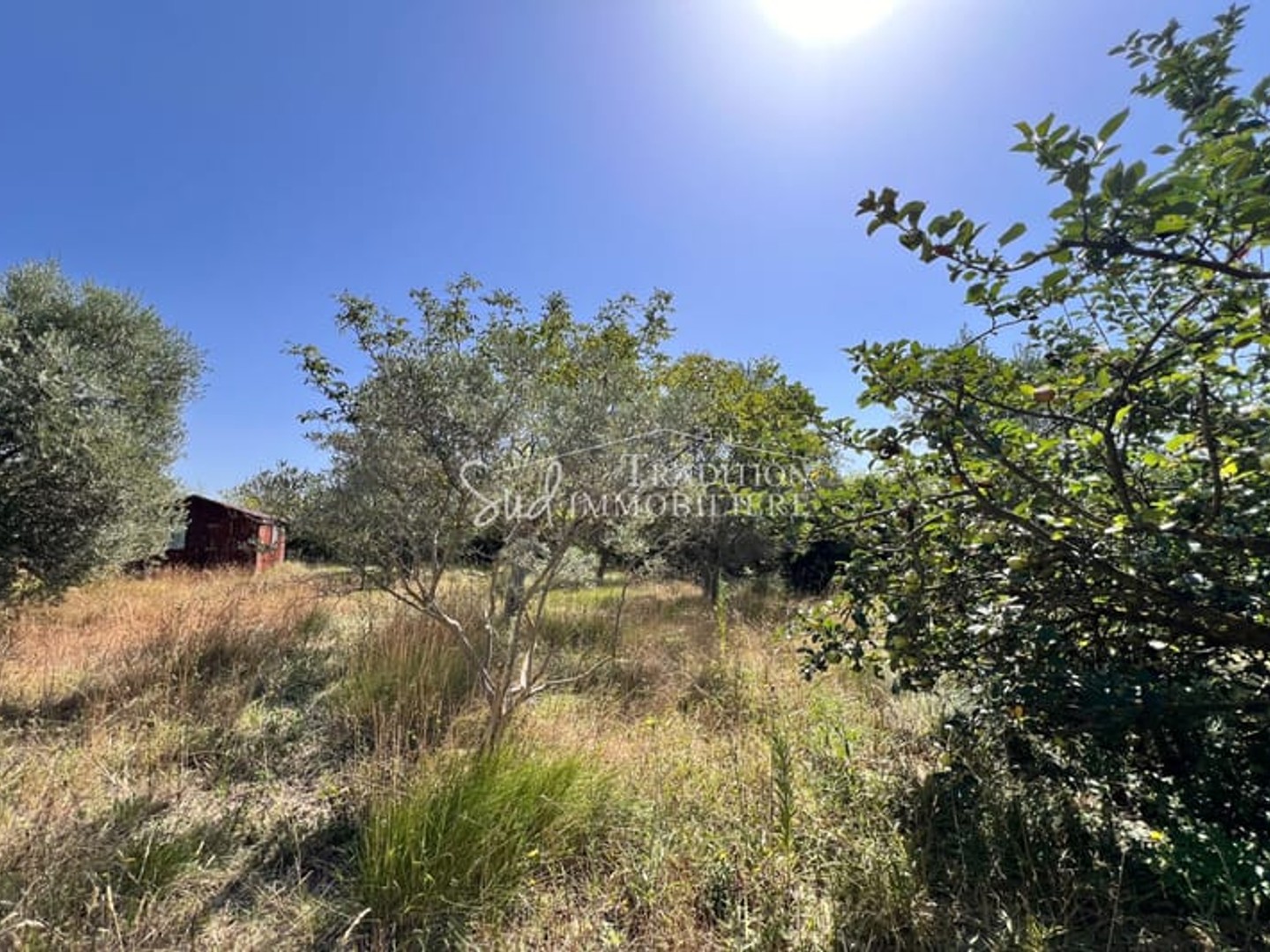 Terrain 2400 m²