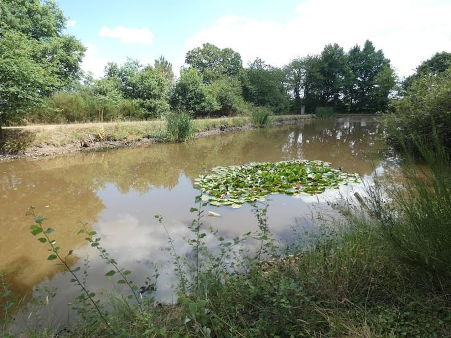 Terrain à vendre - Nuillé-Le-Jalais (72370)