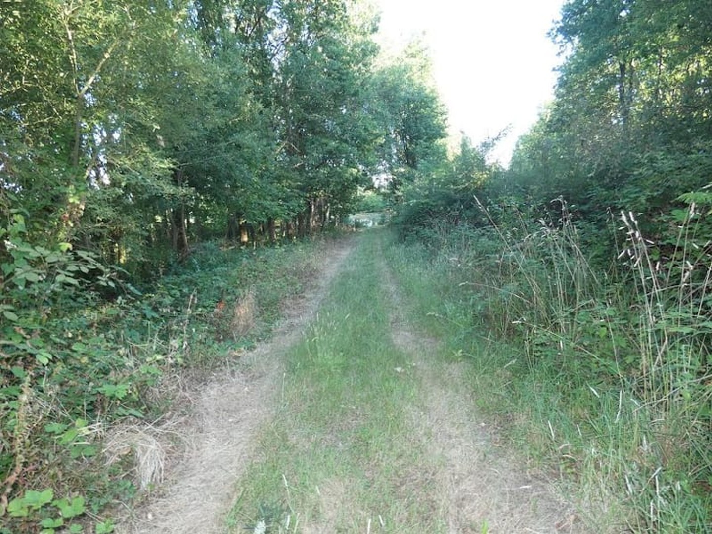 Terrain à vendre - Nuillé-Le-Jalais (72370)