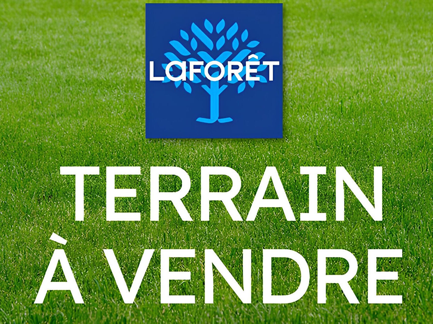 Terrain à vendre - 713m2 - Saint-Germain-Lès... (91180)