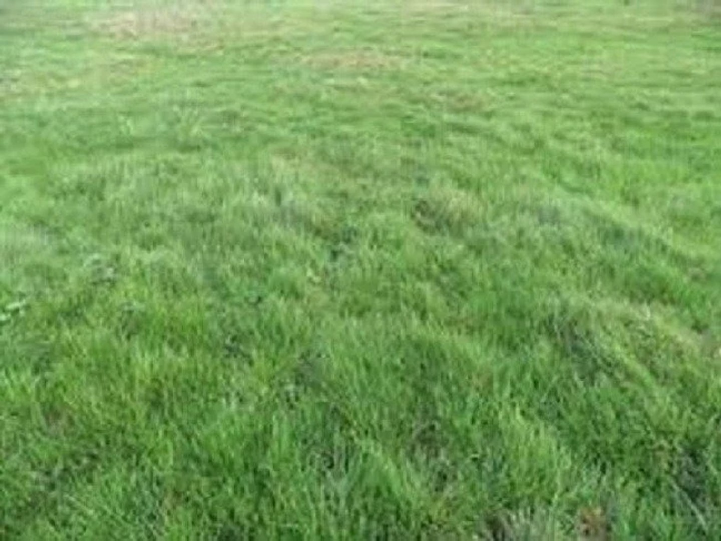 Terrain à vendre - 325m2 - Bourron-Marlotte (77780)