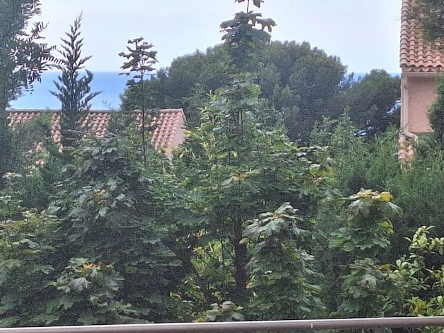 Maison 7 pièces 320 m²