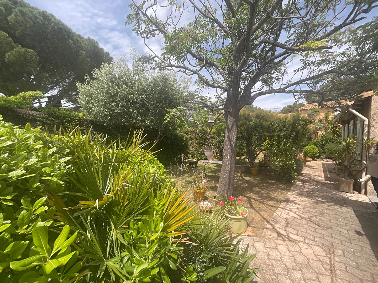 Maison Six Fours Les Plages 5 pièce(s) 145 m2