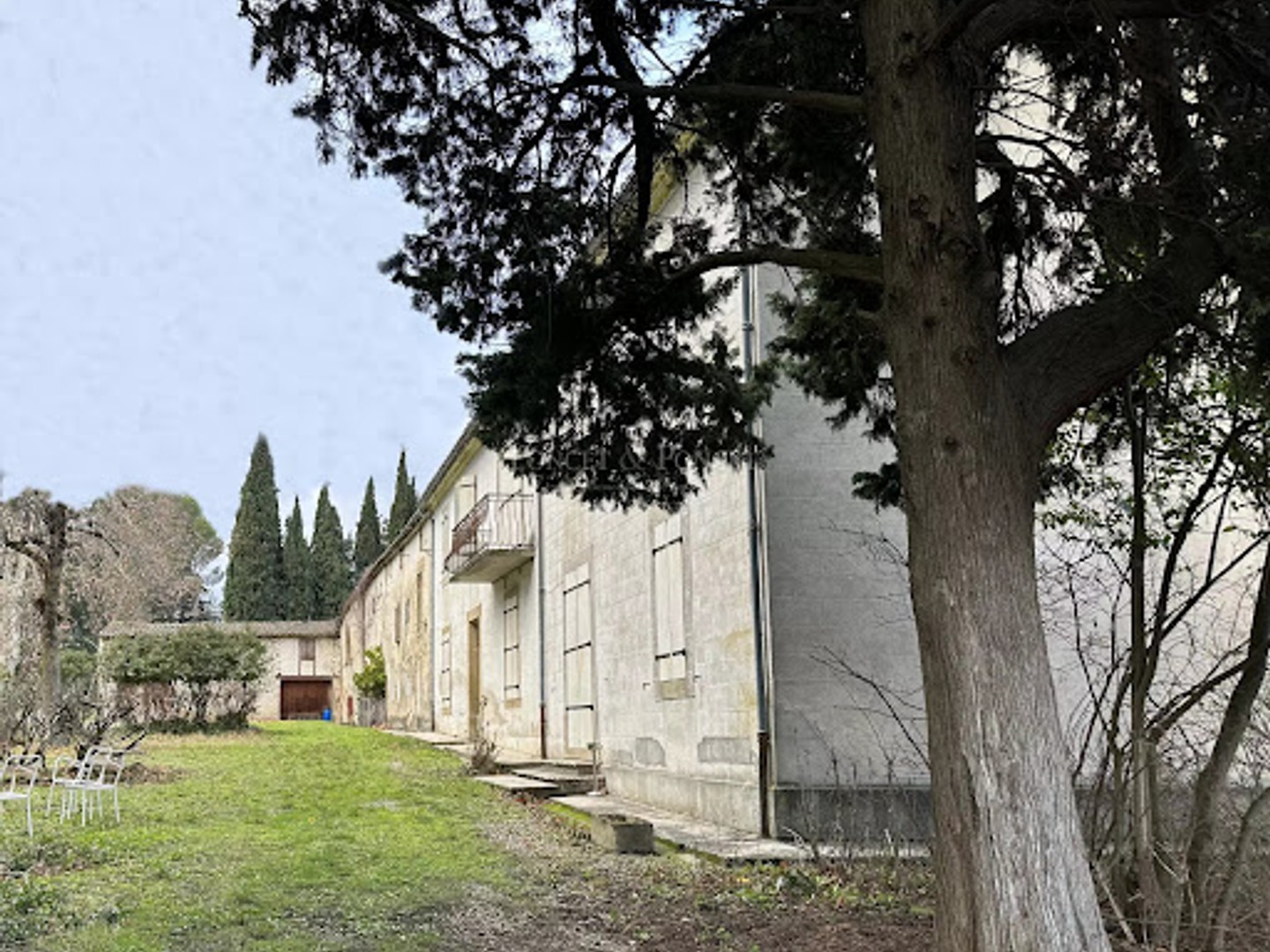 Vignoble 460000 m²
