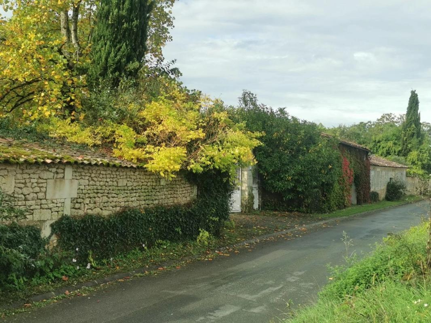 Maison à vendre - 15 pièces - 615m2 - Jazennes (17260)