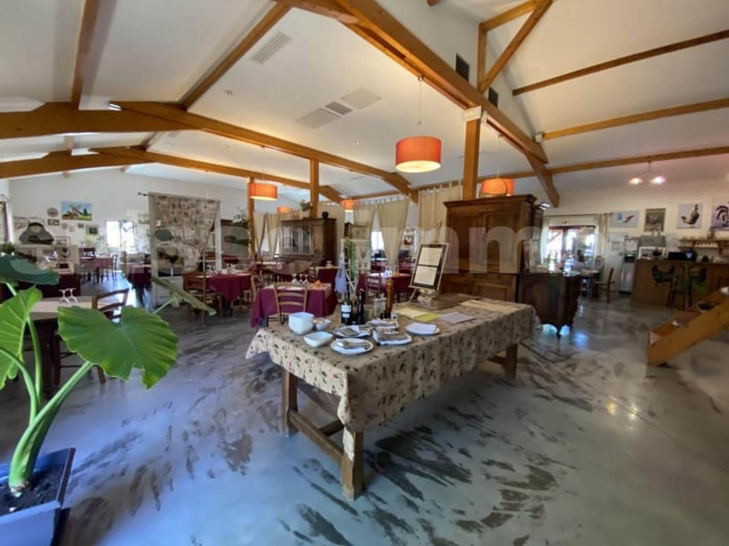 ENSEMBLE IMMOBILIER PROFESSIONNEL DONT RESTAURANT TYPIQUE DE LA BRESSE ET SON LOGEMENT DE FONCTION. MURS ET FONDS DE COMMERCE A VENDRE