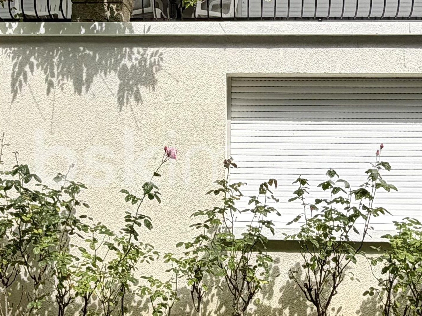 Maison à vendre - 8 pièces - 209m2 - Panazol (87350)