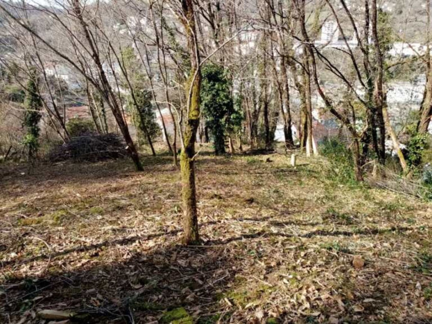 Terrain à vendre - 1718m2 - Tulle (19000)