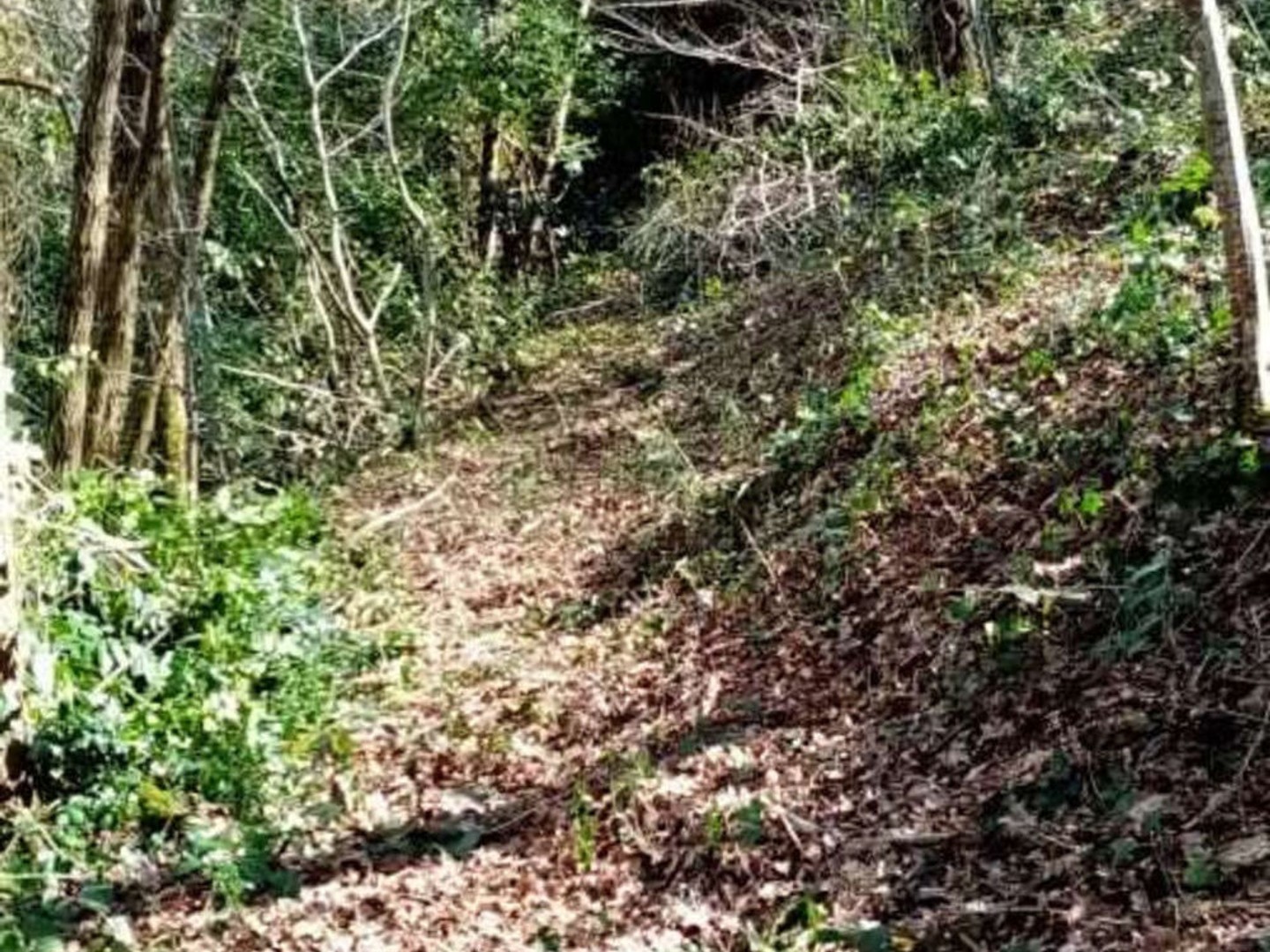Terrain à vendre - 1718m2 - Tulle (19000)