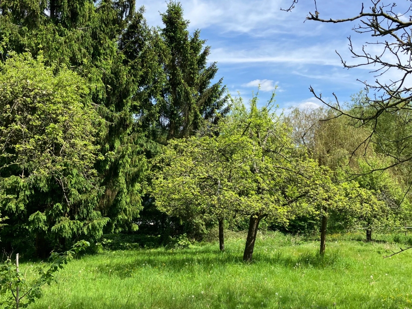 Maison à vendre - 15 pièces - 363m2 - Saint-Aubin-Épinay (76160)