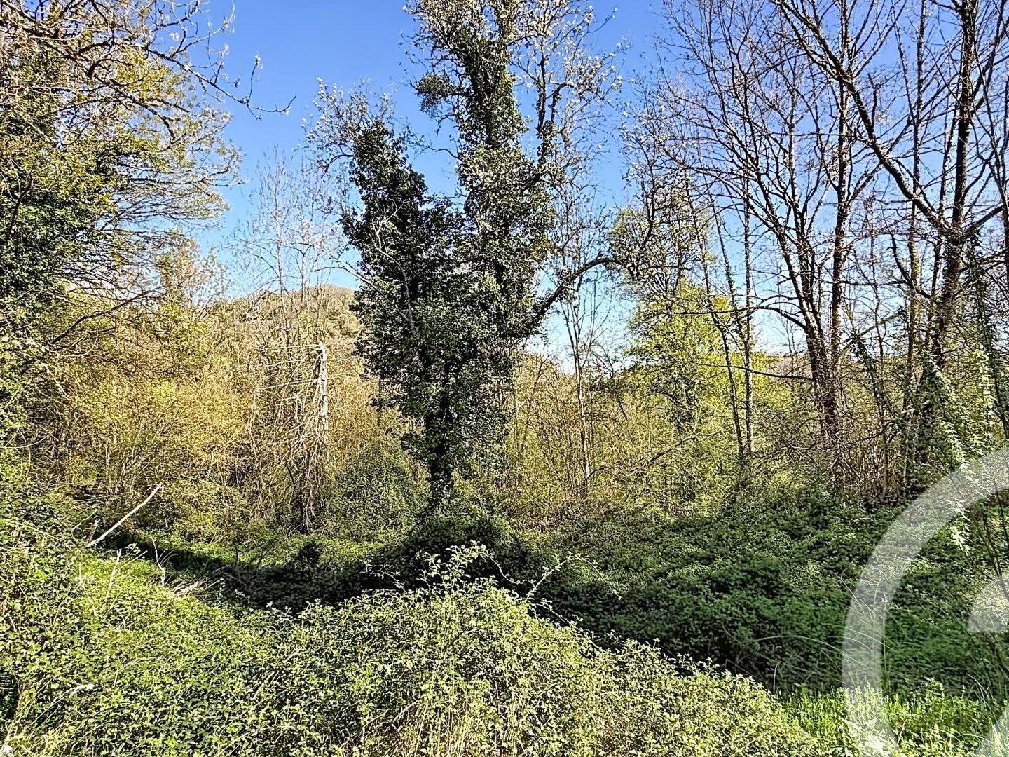 Maison à vendre - 3 pièces - 70m2 - Lacourt (09200)