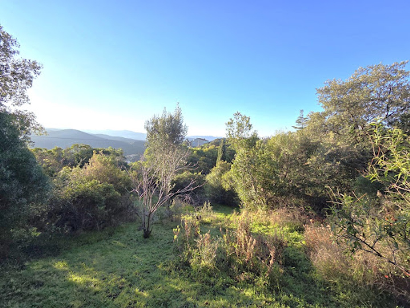 Terrain 2750 m²