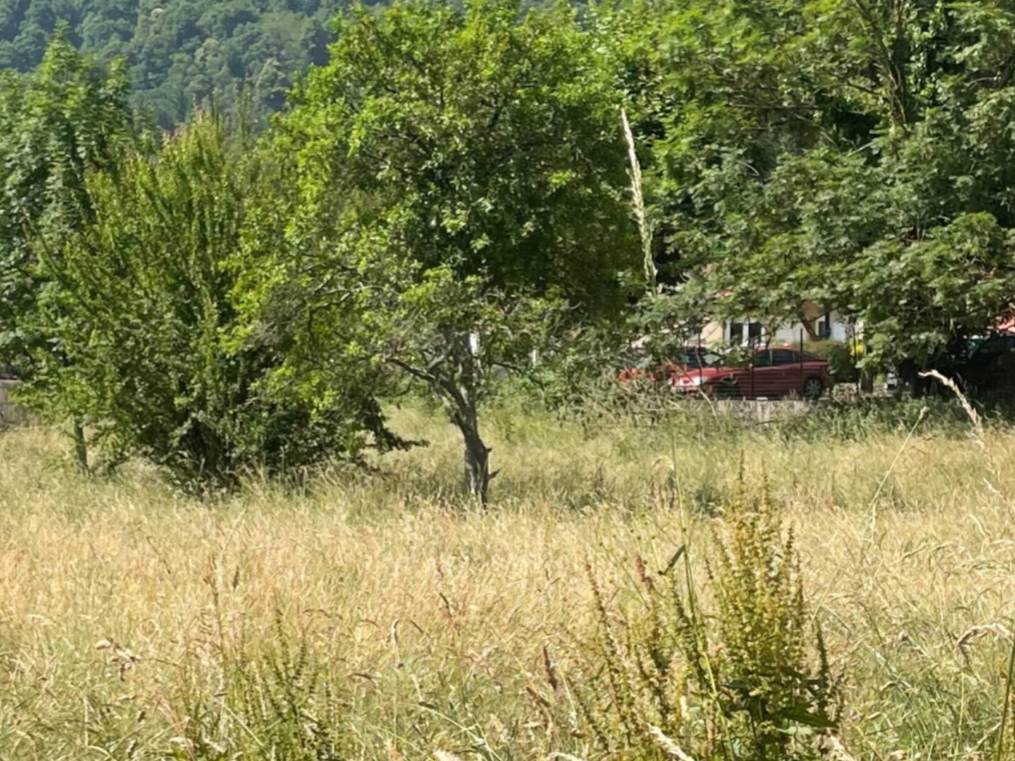 Terrain à vendre - 700m2 - Ferrières-Sur-Ariège (09000)