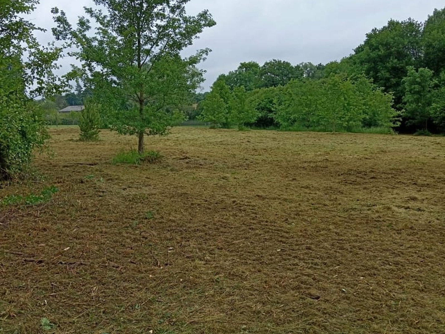 Terrain à vendre - 10310m2 - Usson-Du-Poitou (86350)