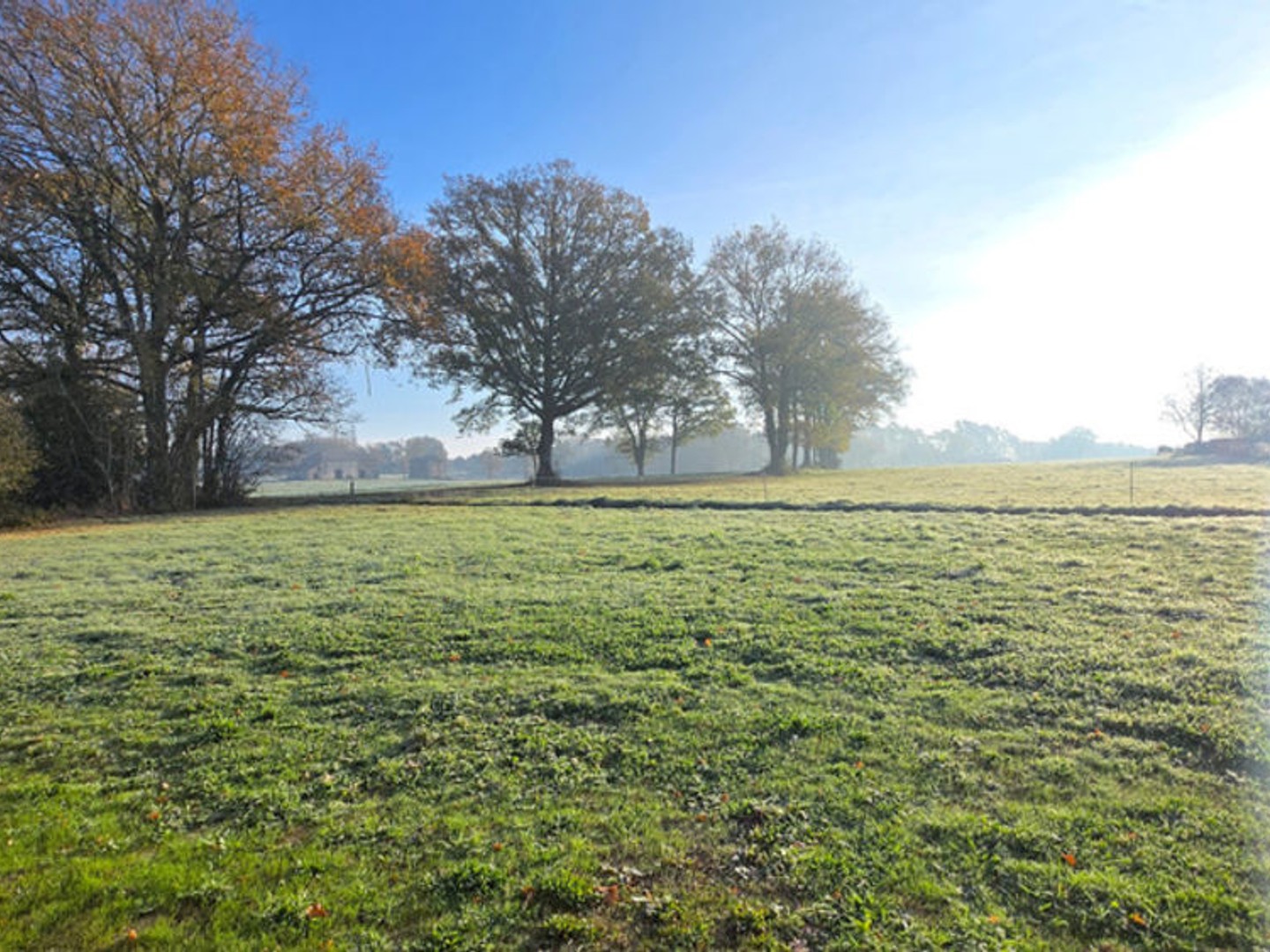 Maison à vendre - 5 pièces - 103m2 - Oradour-Sur-Glane (87520)