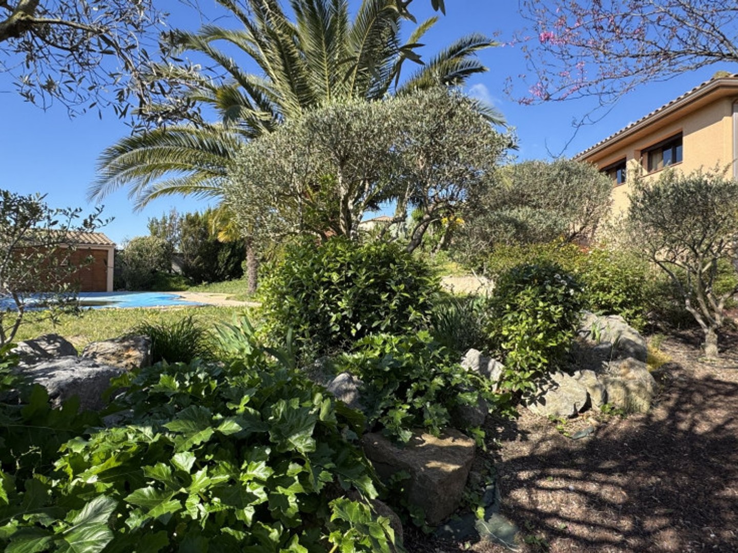 Maison à vendre - 5 pièces - 179m2 - Moussan (11120)