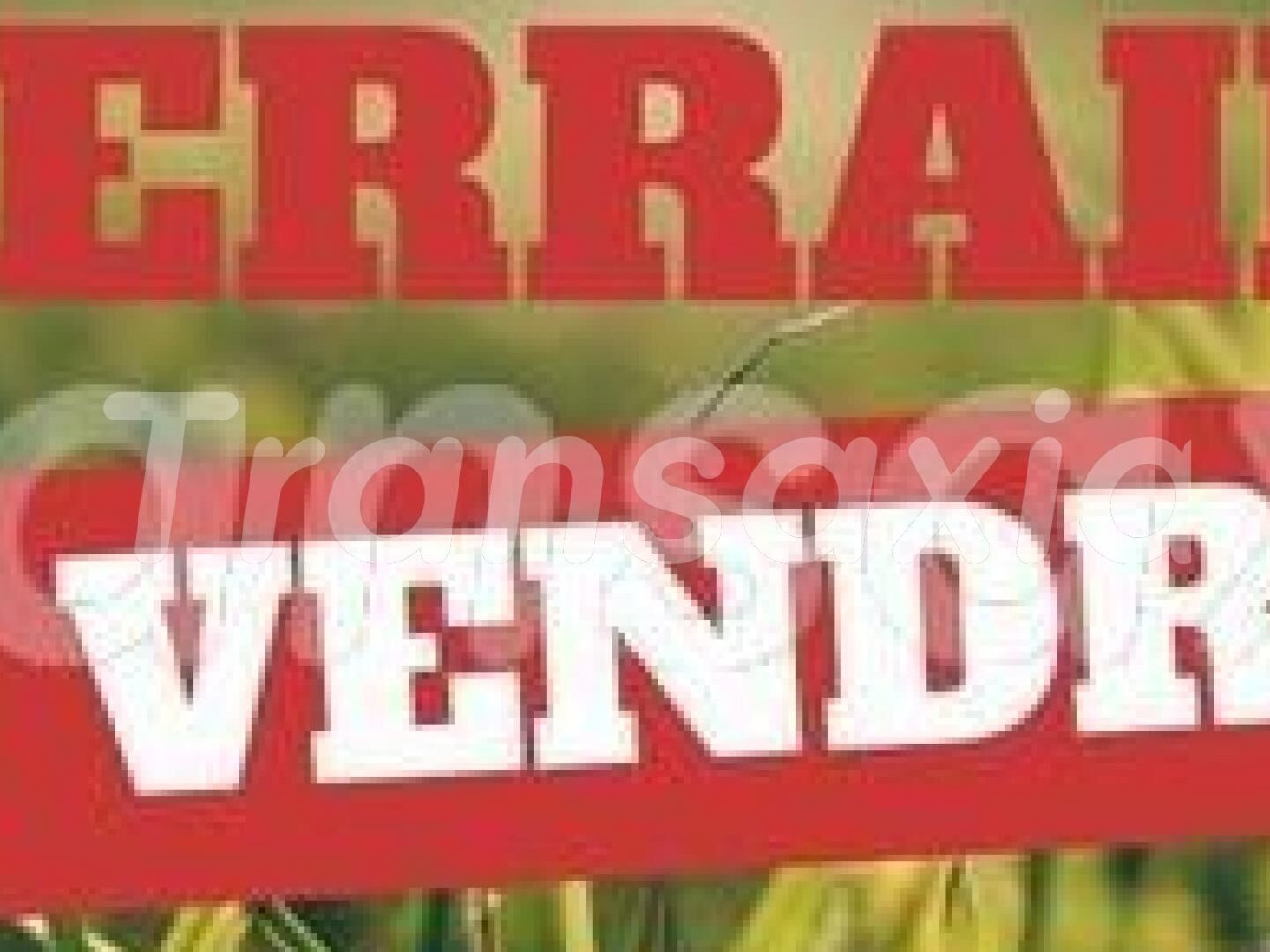 Terrain à vendre - 1670m2 - Mehun-Sur-Yèvre (18500)