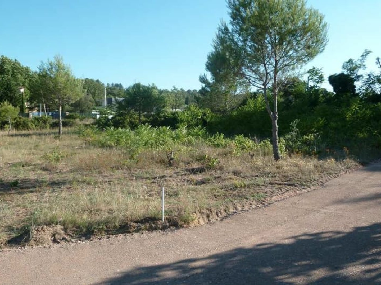 Terrain à vendre - 5000m2 - Clermont-L'hérault (34800)