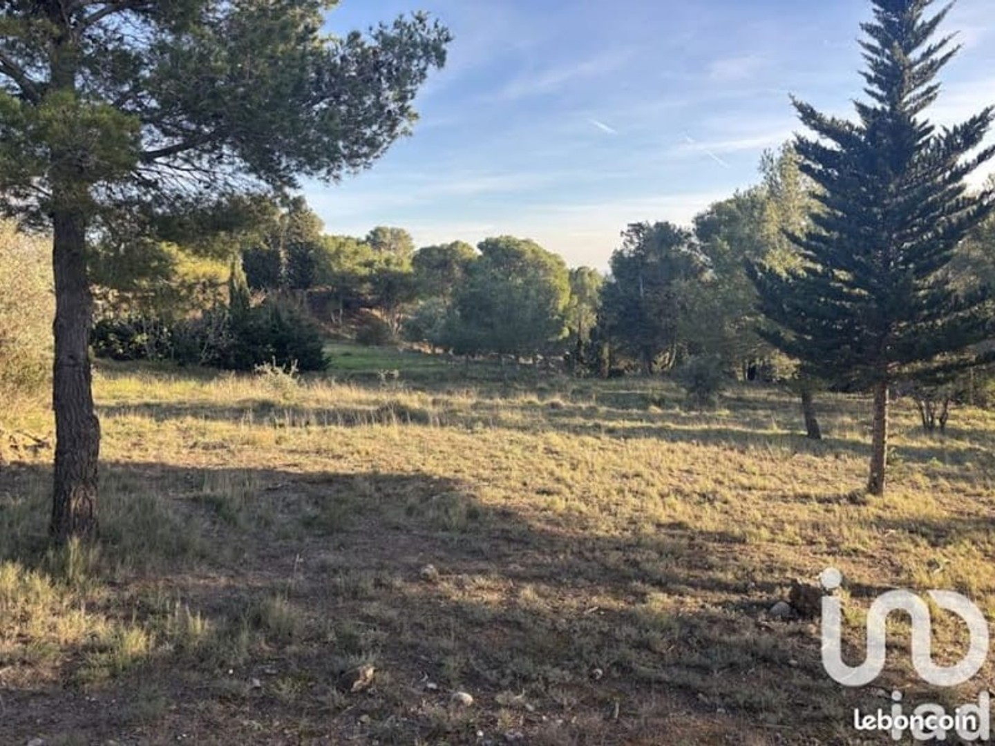 Maison à vendre - 5 pièces - 105m2 - Lézignan-Corbières (11200)