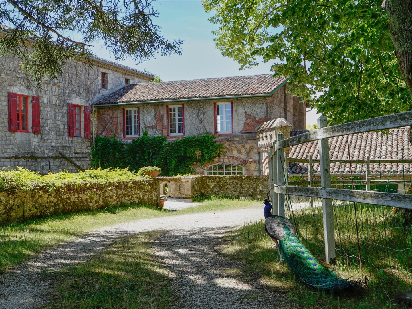 Château du XIIIe siècle au coeur de 35 hectares