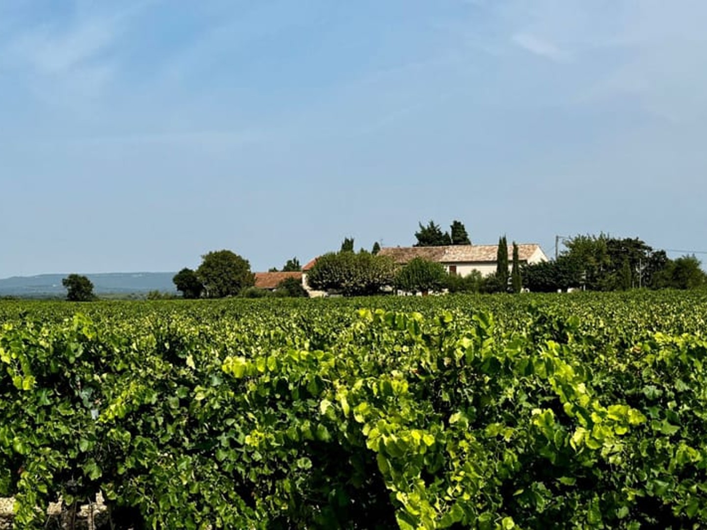 Mas Provençal à rénover sur 11 ha Drôme Provençale