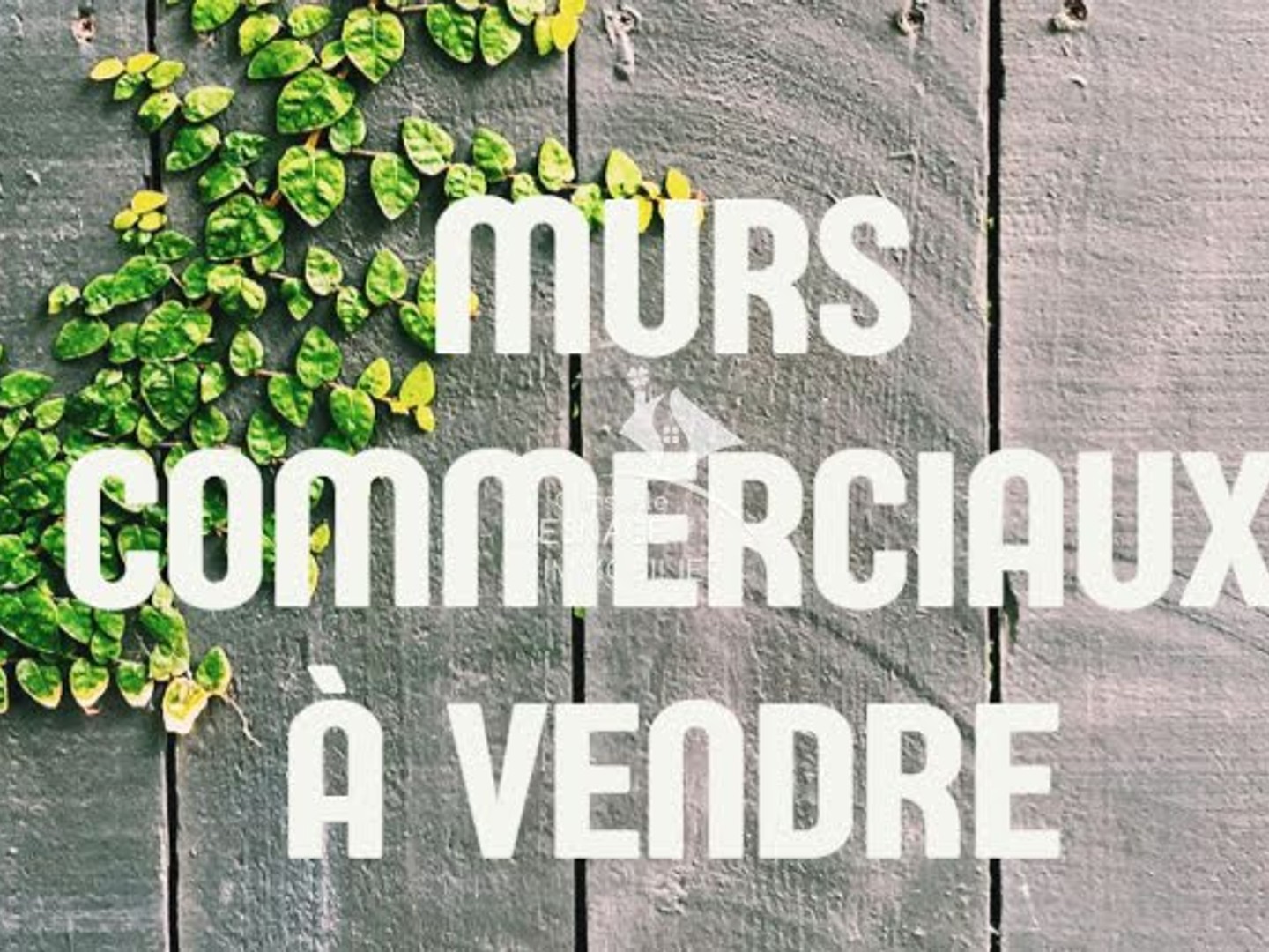 Local 630 m²