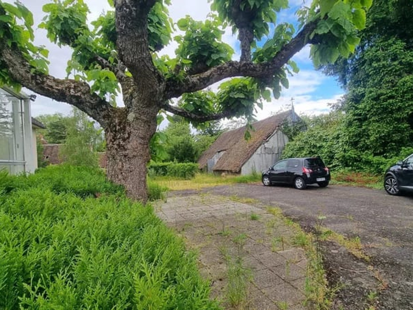 Maison à vendre - 6 pièces - 130m2 - Bellegarde (45270)