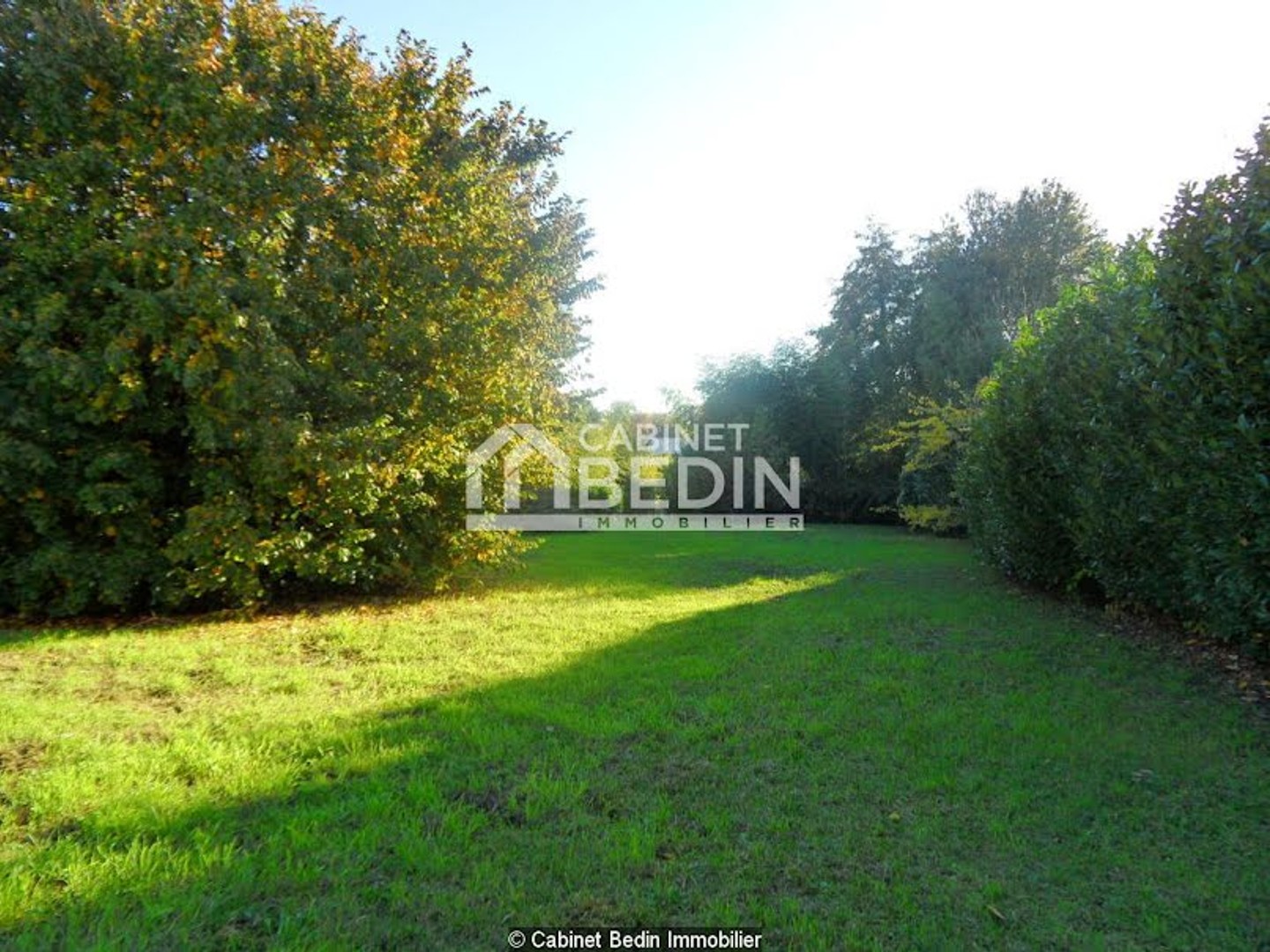 Terrain 3000 m²