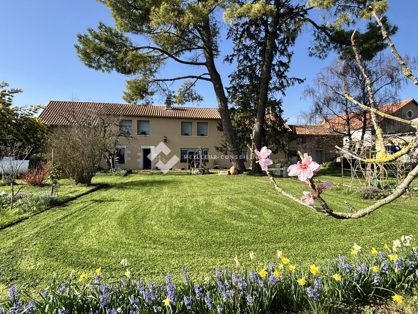 Maison à vendre - 8 pièces - 254m2 - Saint-Martin-La-P... (86380)