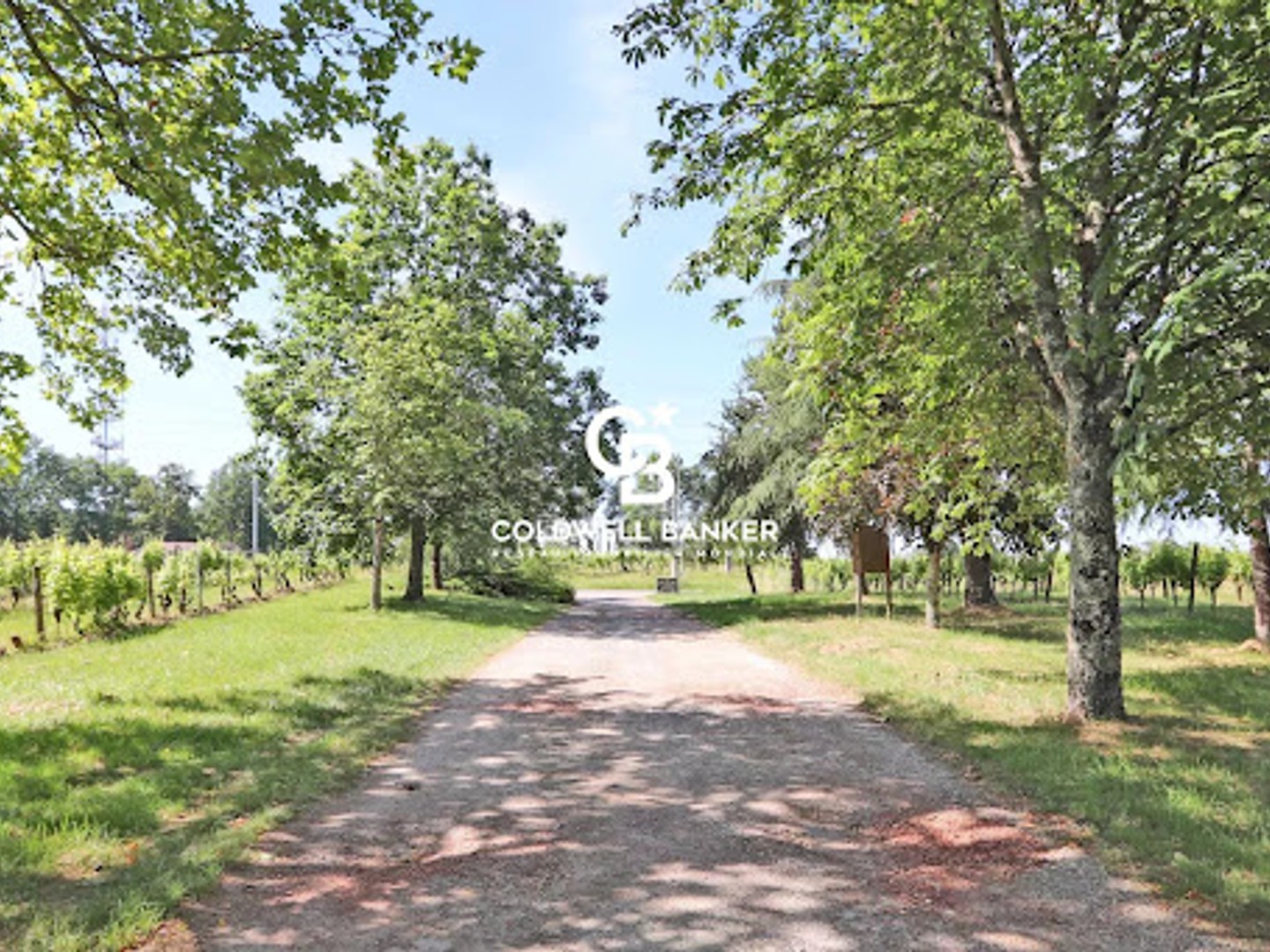 Vignoble 300000 m²