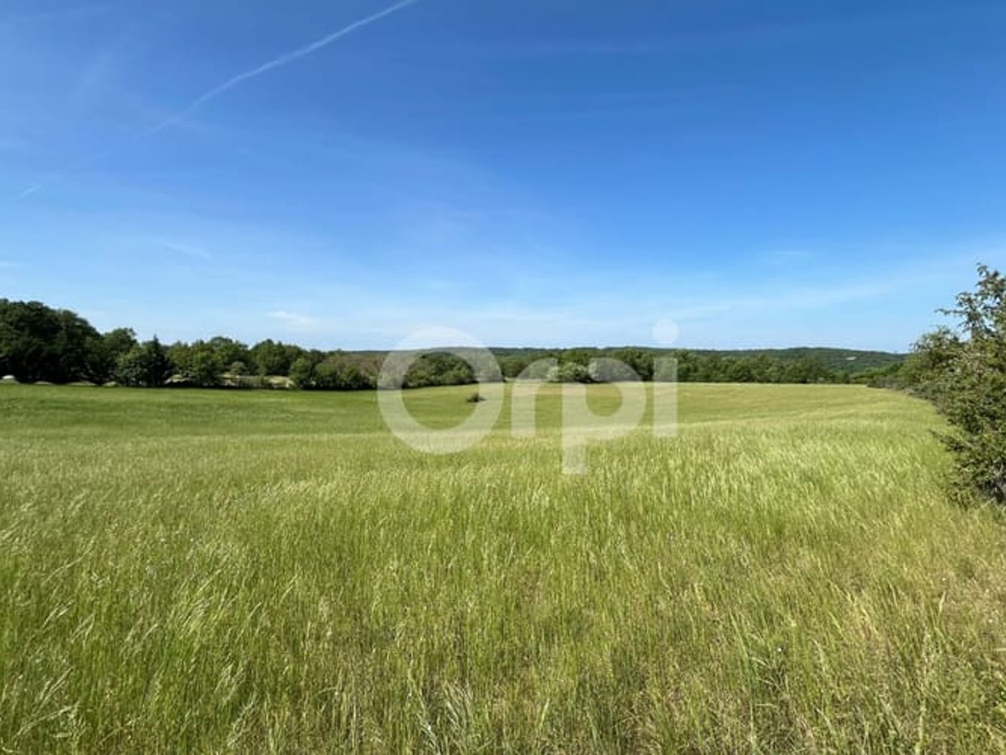 Terrain à vendre - 2540m2 - Chasteaux (19600)