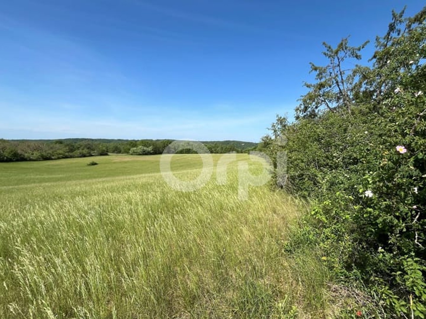 Terrain à vendre - 2540m2 - Chasteaux (19600)